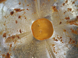 Amarillo de pollo
