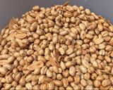 Foto langkah ke 7 dari resep Kacang goreng bawang renyah empuk.