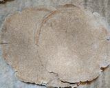 Foto del paso 6 de la receta: Rapiditas integrales
