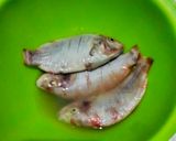 Foto langkah ke 1 dari resep Pesmol ikan nila.