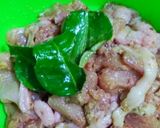Foto langkah ke 2 dari resep 12. Sate goreng ayam.