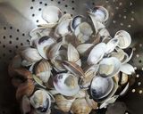 Foto del paso 10 de la receta: Sopa de almejas chirlas con pastas Fullini