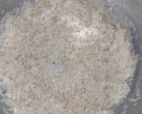 Foto del paso 1 de la receta: Arroz Frio