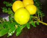 A picture of step 1 of Lemon chutney.