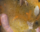 Foto del paso 4 de la receta: Pulmay #curantoenolla