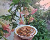عکس مرحله 4 از دستور دوپیازه باقالی با غوره خشک و پودر غوره