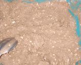 Foto del paso 3 de la receta: Galletas de avena y manzana