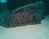 Foto del paso 5 de la receta: Torta de chocolate