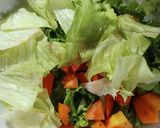 Foto langkah ke 1 dari resep Salad Sayur (no mayo).