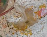 Foto langkah ke 2 dari resep 162. Pia Pia udang.