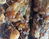 A picture of step 3 of Jaali Kabab.