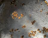 A picture of step 2 of Green Moong Dal Masala Khichadi In Pressure Cooker.