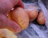 Mátrai borzaska sütőben sütve recept fázis 1 fotója