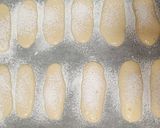 Foto del paso 8 de la receta: Melindros