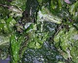 Foto del paso 2 de la receta: Chips de kale snack o picada saludable