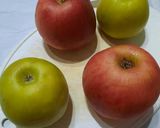 Foto del paso 1 de la receta: Torta navideña nevada de manzanas