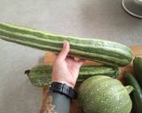 Foto del passaggio 1 della ricetta Zucchine in friggitrice ad aria