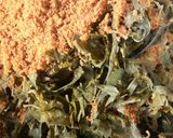A picture of step 2 of Yadiya salad.