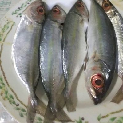 Langkah 2