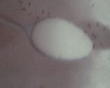 صورة لخطوة 2 من وصفة قهوة باردة لذيذة 🥶 😋