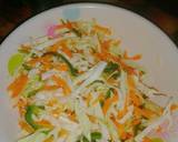 Coleslaw Salad with Plantain
