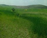 A picture of step 6 of Outdoor Picnic.
