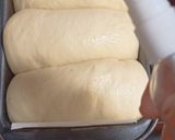 Foto langkah ke 3 dari resep Roti Tawar Manis (santan).