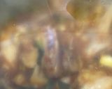 Foto langkah ke 5 dari resep Ayam kecap pedas.