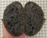 Foto langkah ke 24 dari resep Charcoal Sourdough Bread (Open Bake Method - Oven Tangkring).