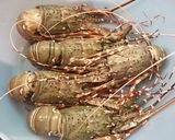 รูปขั้นตอนการทำที่ 1 ของ กุ้งมังกรอบเนย (ลอปสเตอร์ไทย)