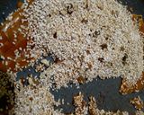 A picture of step 6 of Rajgeera dryfuits chikki.