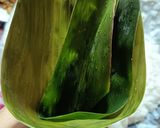 Foto langkah ke 3 dari resep Bacang Ketan (Rebus Mejikom).