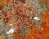 Foto del paso 4 de la receta: Salsa de tomate tipo bolognesa