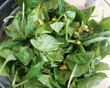 Foto del paso 10 de la receta: Ensalada de espinacas contocino osiris