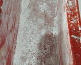 Foto del paso 6 de la receta: Crema de pimientos rojos y amarillos 🫑🔴🟡