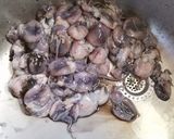 Foto del paso 2 de la receta: Estofado de Sepionets (Choquitos o Sepias pequeñas)