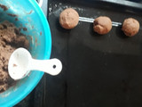 Polvorones sin gluten