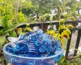 Hình bước làm 2 của món Chè sương sáo thập cẩm
