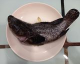 清蒸石斑魚的食譜步驟1照片