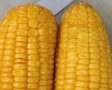 A picture of step 1 of Sweet Corn Gold Coins (Healthy and Quick Teatime Snack).