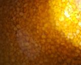 A picture of step 1 of Puran Poli.