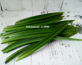 Foto langkah ke 1 dari resep Pandan Juice - Ekstrak Pandan/Pewarna Hijau Alami.