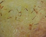 নো ঈস্ট শিরমাল রুটি (no yeast shiramal rooti recipe in Bengali) রেসিপির ধাপ 5 ছবি