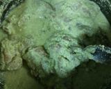 A picture of step 2 of Chicken afgani.