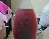 Foto del paso 5 de la receta: Licor fermentado de frutas