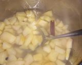 Hamis túrógombóc bodzás almaszósszal recept fázis 5 fotója