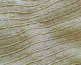 Foto del paso 1 de la receta: Botana: Chicharrón preparado vegetariano o Mexicano receta (2x1)