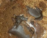 Nutellás forrócsoki recept fázis 1 fotója