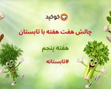 عکس مرحله 11 از دستور سالاد مرغ و شوید 😋