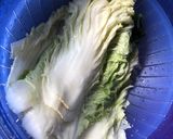 Foto langkah ke 1 dari resep Homemade Kimchi.